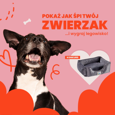 Konkurs "Pokaż jak śpi twój zwierzak"