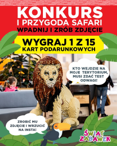 Katowice: Konkurs "Wieeelkie figury i przygoda Safari w Libero"