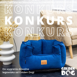 Konkurs dla miłośników czworonogów