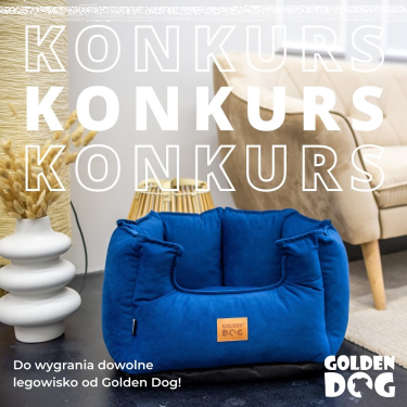 Konkurs dla miłośników czworonogów