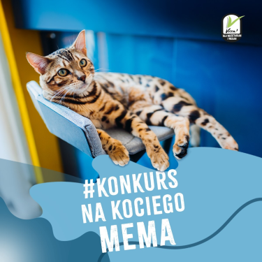 Konkurs "Kocie memy z COTE"
