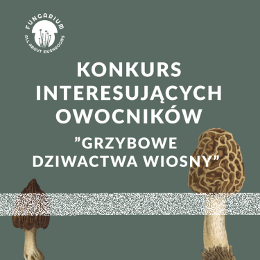 Konkurs "Grzybowe Dziwactwa Wiosny"
