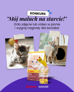 Konkurs "Mój maluch na starcie"