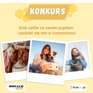 Konkurs fotograficzny z Biofeed