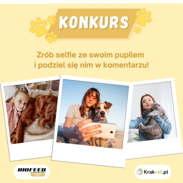 Konkurs fotograficzny z Biofeed