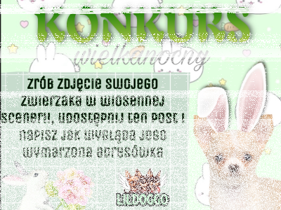 Konkurs "Wielkanoc z Lildoggo"