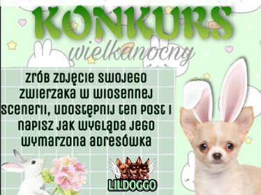 Konkurs "Wielkanoc z Lildoggo"