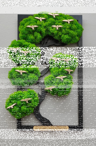 Wygraj drzewko bonsai z mchem