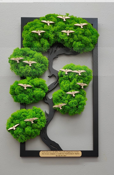 Wygraj drzewko bonsai z mchem