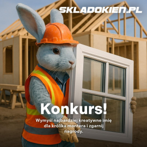 Konkurs "Wymyśl imię" do godz. 13.59