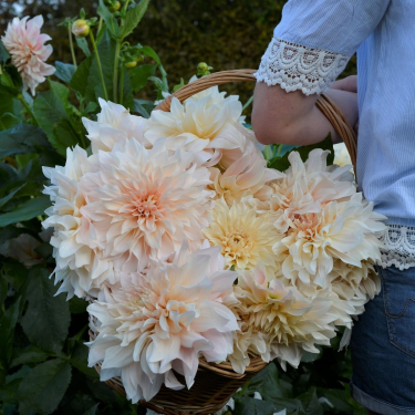 Konkurs "FAM Flower Farm"