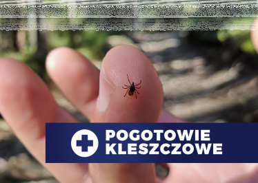 Konkurs "Lato bez kleszczy"