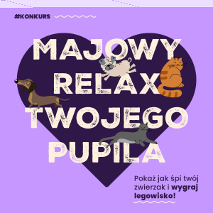 Konkurs fotograficzny "Pokaż jak śpi twój zwierzak"