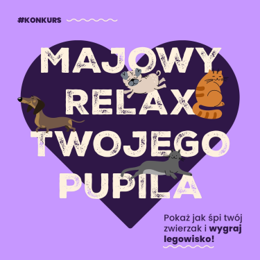 Konkurs fotograficzny "Pokaż jak śpi twój zwierzak"