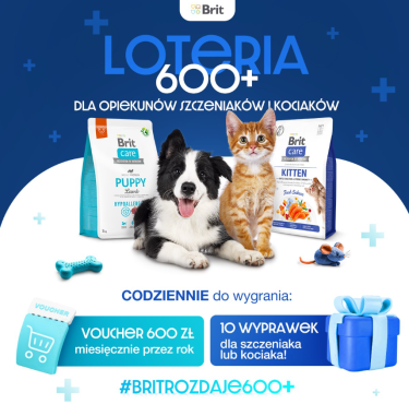 Loteria "BRIT dla Kociąt i Szczeniąt"
