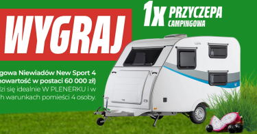 Konkurs "W plenerek z Dino" Dino, 18+