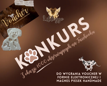 Konkurs "1000 z Lildoggo"