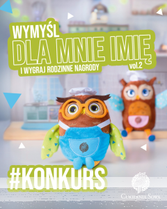 Konkurs wymyśl imię dla chłopca sówki