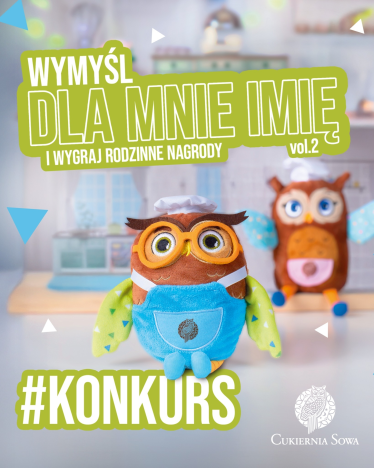 Konkurs wymyśl imię dla chłopca sówki