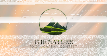 Konkurs "The Nature Photography Contest 2025"