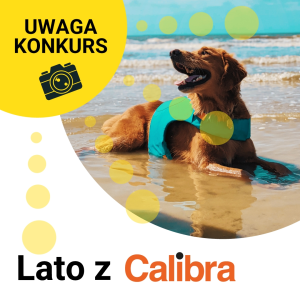 Konkurs "Lato z Calibrą"