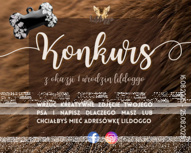 Konkurs "Urodziny Lildoggo"