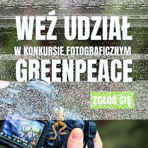 Konkurs fotograficzny Greenpeace