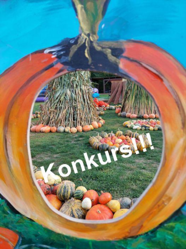 Trzebaw: Konkurs "Festiwal Dyni"