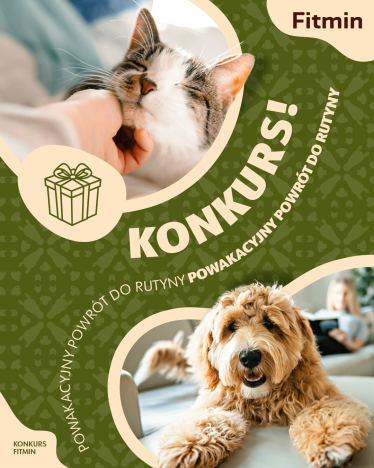 Konkurs "Powrót do rutyny"