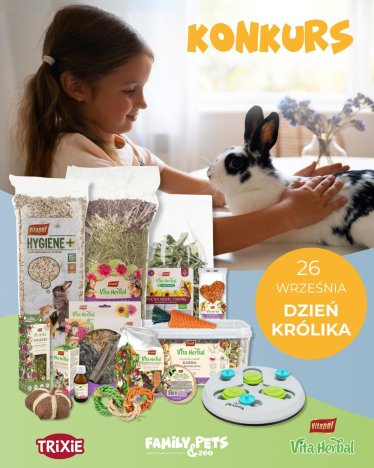Konkurs "Dzień Królika"