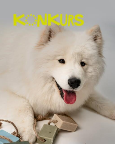 Konkurs "Najzabawniejsza historia związana z nieprzyjemnym zapachem u psa"