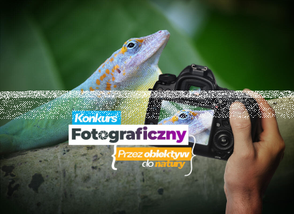 Konkurs "Przez Obiektyw do Natury! Uchwyć wyjątkowe chwile w Śląskim ZOO"