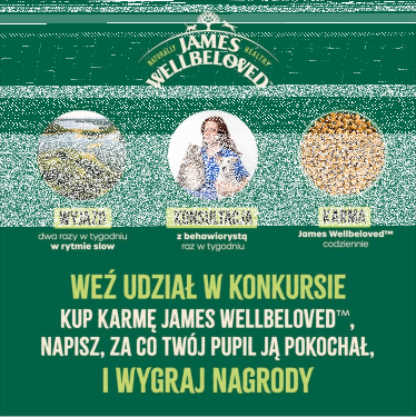 Konkurs "James Wellbeloved" Allegro