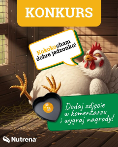 Konkurs "Kurze smaki"