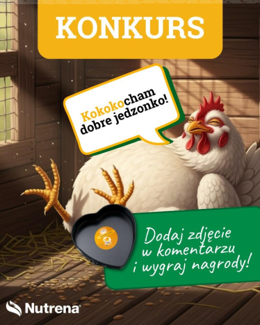 Konkurs "Kurze smaki"