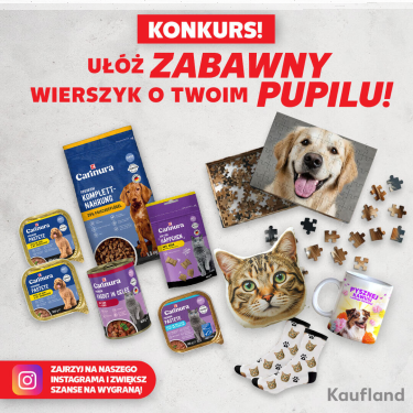 Konkurs "Ułóż zabawny wierszyk o swoim psie lub kocie"