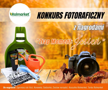 Konkurs "Złap Moment: JESIEŃ"