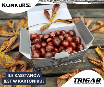 Konkurs "Ile kasztanów jest w kartoniku?"