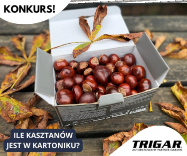Konkurs "Ile kasztanów jest w kartoniku?"