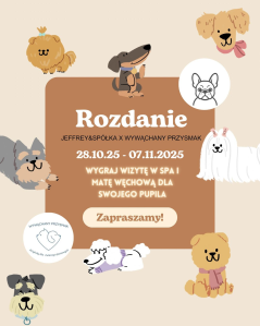 Konkurs "Rozdanie u Jeffrey&Spółka"