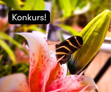 Bydgoszcz: Konkurs plastyczny - wygraj zaproszenia na JEDYNĄ TAKĄ WYSTAWĘ W POLSCE