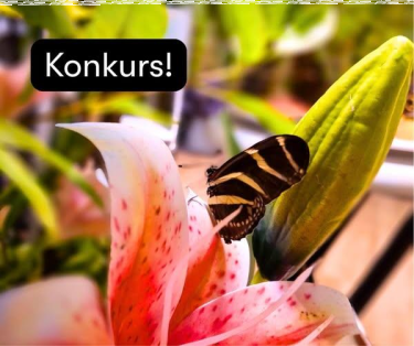 Bydgoszcz: Konkurs plastyczny - wygraj zaproszenia na JEDYNĄ TAKĄ WYSTAWĘ W POLSCE