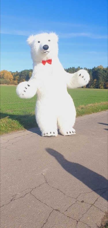 Konkurs "Miś Lucjan"