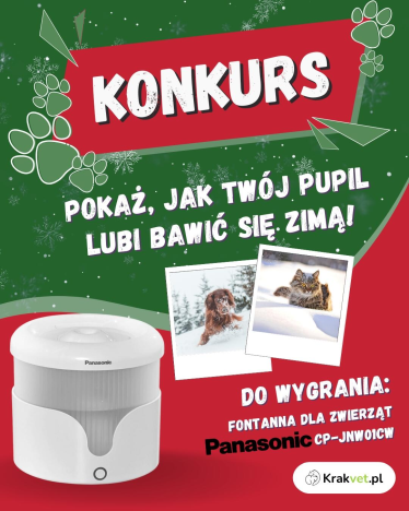 Konkurs "Krakvet - Panasonic 2025"