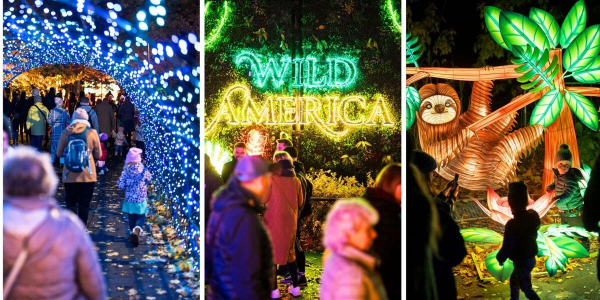 Wrocław: Wygraj zaproszenie na wystawę Garden of Lights: Dzika Ameryka w Zoo! do godz. 9:00