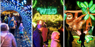 Wrocław: Wygraj zaproszenie na wystawę Garden of Lights: Dzika Ameryka w Zoo! do godz. 9:00