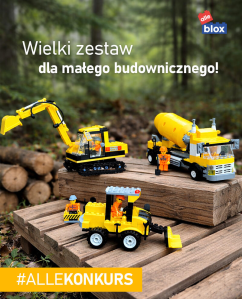 Konkurs "Alleblox - Ekipa budowlana"