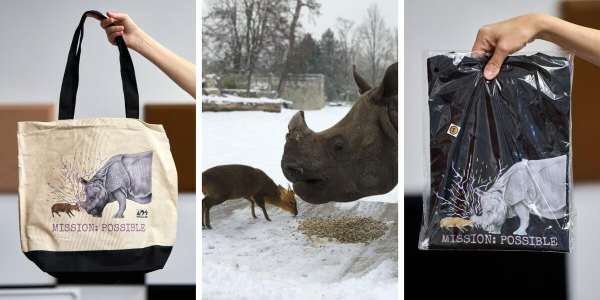 Konkurs "Znacie dobrze tę parę z ZOO Wrocław"