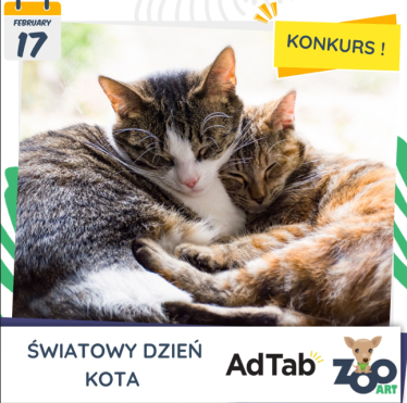 Konkurs fotograficzny "Międzynarodowy Dzień Kota – czas na królewskie wygody"