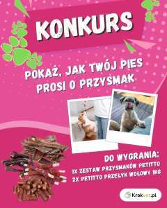Konkurs fotograficzny dla psiarz